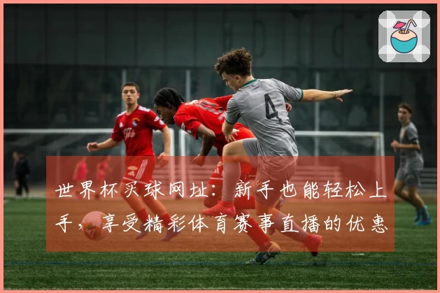 世界杯买球网址：新手也能轻松上手，享受精彩体育赛事直播的优惠攻略